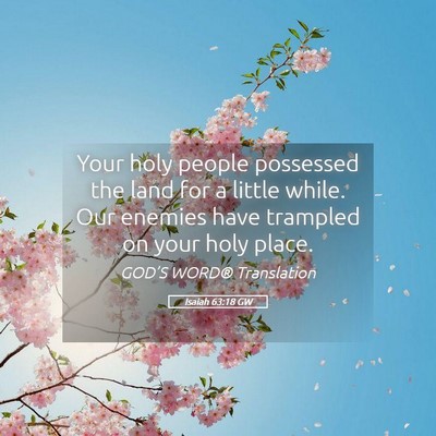 Picture 05 - Isaiah 63:18 GW - Your holy people possessed the land for a little - Bible Verse Picture
