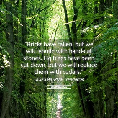 Picture 05 - Isaiah 9:10 GW - “Bricks have fallen, but we will rebuild with - Bible Verse Picture