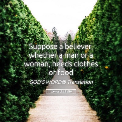 Picture 05 - James 2:15 GW - Suppose a believer, whether a man or a woman, - Bible Verse Picture