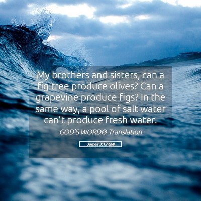 Picture 05 - James 3:12 GW - My brothers and sisters, can a fig tree produce - Bible Verse Picture