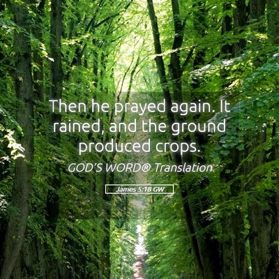 Picture 05 - James 5:18 GW - Then he prayed again. It rained, and the ground - Bible Verse Picture