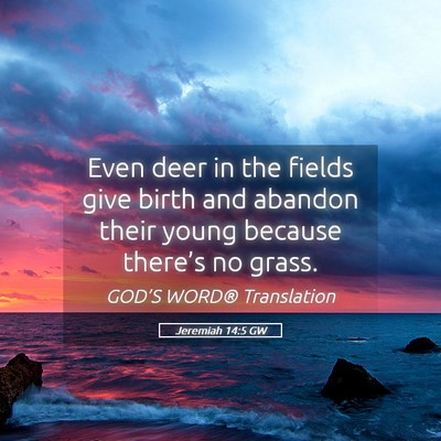 Picture 05 - Jeremiah 14:5 GW - Even deer in the fields give birth and abandon - Bible Verse Picture