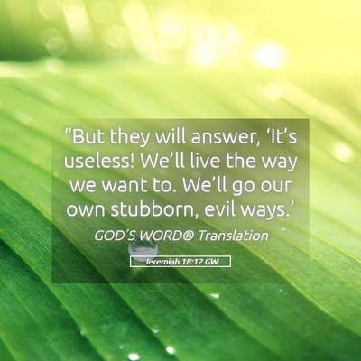 Picture 05 - Jeremiah 18:12 GW - “But they will answer, ‘It’s useless! - Bible Verse Picture