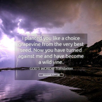 Picture 05 - Jeremiah 2:21 GW - I planted you like a choice grapevine from the - Bible Verse Picture