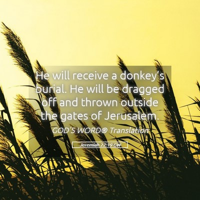 Picture 05 - Jeremiah 22:19 GW - He will receive a donkey’s burial. He will be - Bible Verse Picture
