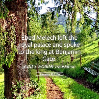 Picture 05 - Jeremiah 38:8 GW - Ebed Melech left the royal palace and spoke to - Bible Verse Picture