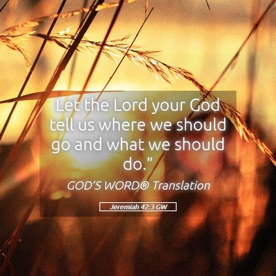 Picture 05 - Jeremiah 42:3 GW - Let the Lord your God tell us where we should go - Bible Verse Picture