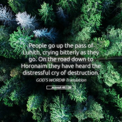 Picture 05 - Jeremiah 48:5 GW - People go up the pass of Luhith, crying bitterly - Bible Verse Picture