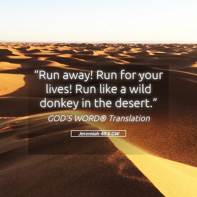 Picture 05 - Jeremiah 48:6 GW - “Run away! Run for your lives! Run like a wild - Bible Verse Picture