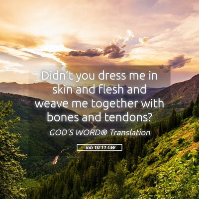Picture 05 - Job 10:11 GW - Didn’t you dress me in skin and flesh and weave - Bible Verse Picture