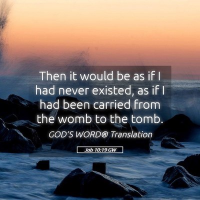 Picture 05 - Job 10:19 GW - Then it would be as if I had never existed, as if - Bible Verse Picture