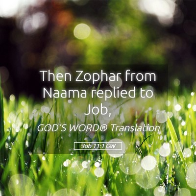Picture 05 - Job 11:1 GW - Then Zophar from Naama replied to - Bible Verse Picture