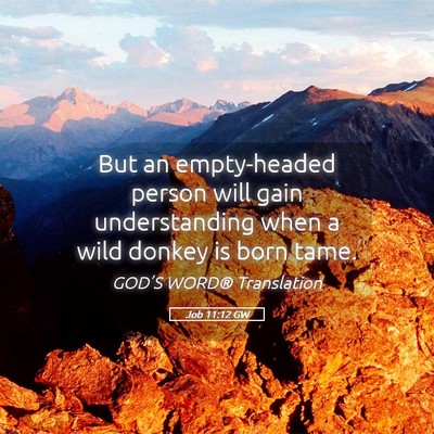 Picture 05 - Job 11:12 GW - But an empty-headed person will gain - Bible Verse Picture