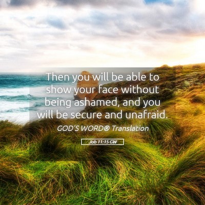 Picture 05 - Job 11:15 GW - Then you will be able to show your face without - Bible Verse Picture