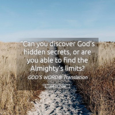 Picture 05 - Job 11:7 GW - “Can you discover God’s hidden secrets, or - Bible Verse Picture