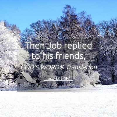 Picture 05 - Job 12:1 GW - Then Job replied to his - Bible Verse Picture