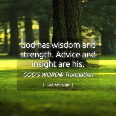 Picture 05 - Job 12:13 GW - God has wisdom and strength. Advice and insight - Bible Verse Picture