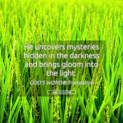Picture 05 - Job 12:22 GW - He uncovers mysteries hidden in the darkness and - Bible Verse Picture