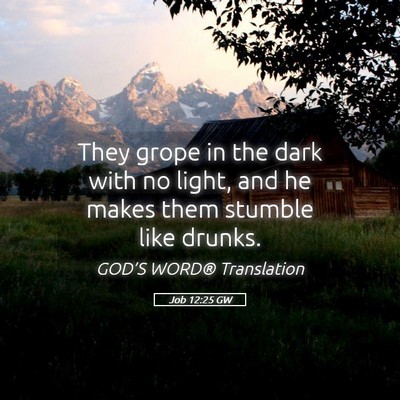 Picture 05 - Job 12:25 GW - They grope in the dark with no light, and he - Bible Verse Picture