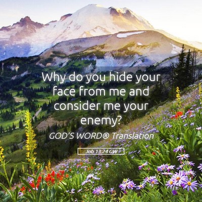 Picture 05 - Job 13:24 GW - Why do you hide your face from me and consider me - Bible Verse Picture