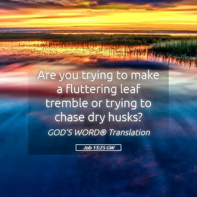 Picture 05 - Job 13:25 GW - Are you trying to make a fluttering leaf tremble - Bible Verse Picture