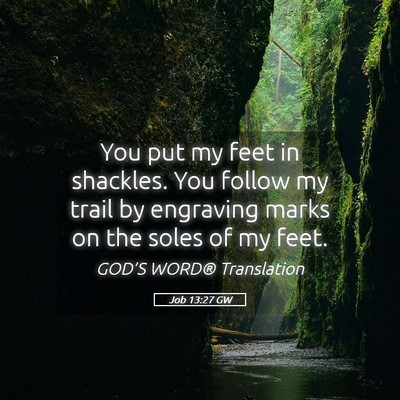 Picture 05 - Job 13:27 GW - You put my feet in shackles. You follow my trail - Bible Verse Picture