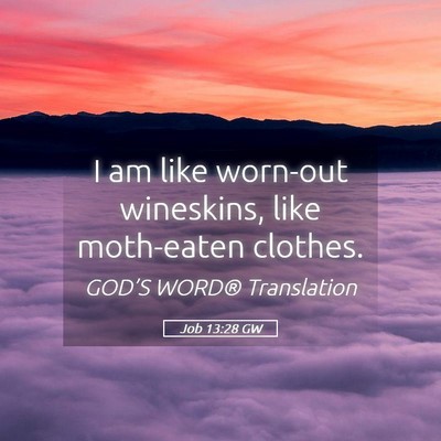 Picture 05 - Job 13:28 GW - I am like worn-out wineskins, like moth-eaten - Bible Verse Picture