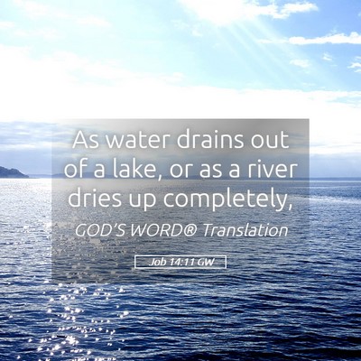 Picture 05 - Job 14:11 GW - As water drains out of a lake, or as a river - Bible Verse Picture