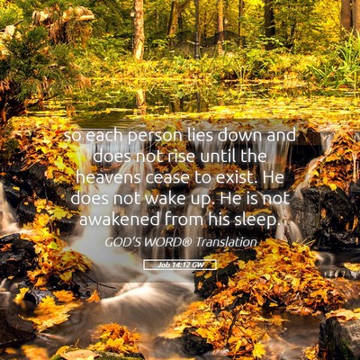Picture 05 - Job 14:12 GW - so each person lies down and does not rise until - Bible Verse Picture