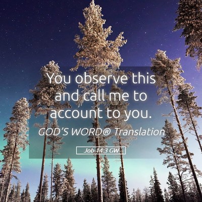 Picture 05 - Job 14:3 GW - You observe this and call me to account to - Bible Verse Picture