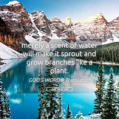 Picture 05 - Job 14:9 GW - merely a scent of water will make it sprout and - Bible Verse Picture