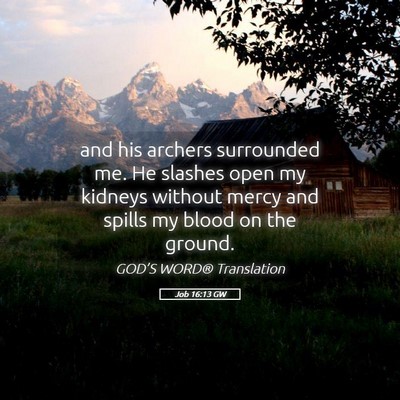 Picture 05 - Job 16:13 GW - and his archers surrounded me. He slashes open my - Bible Verse Picture