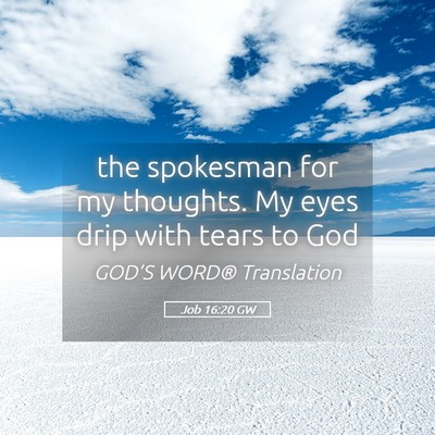Picture 05 - Job 16:20 GW - the spokesman for my thoughts. My eyes drip with - Bible Verse Picture