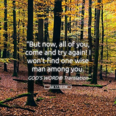 Picture 05 - Job 17:10 GW - “But now, all of you, come and try again! I - Bible Verse Picture
