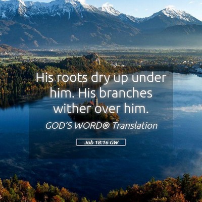 Picture 05 - Job 18:16 GW - His roots dry up under him. His branches wither - Bible Verse Picture