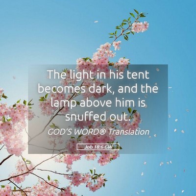 Picture 05 - Job 18:6 GW - The light in his tent becomes dark, and the lamp - Bible Verse Picture