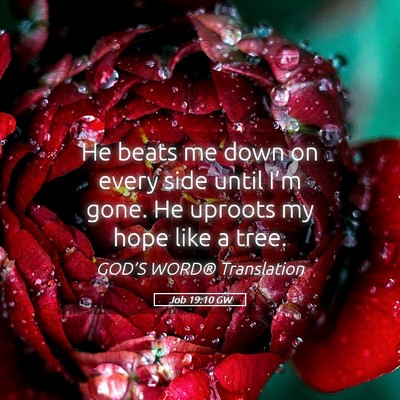 Picture 05 - Job 19:10 GW - He beats me down on every side until I’m gone. - Bible Verse Picture