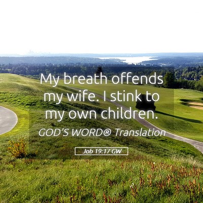 Picture 05 - Job 19:17 GW - My breath offends my wife. I stink to my own - Bible Verse Picture