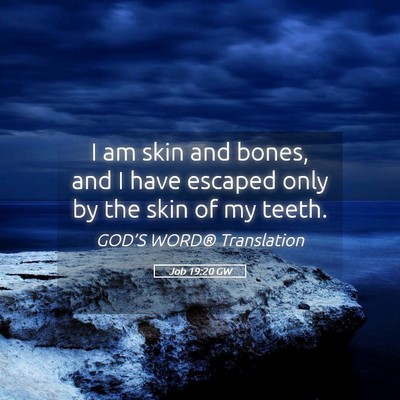 Picture 05 - Job 19:20 GW - I am skin and bones, and I have escaped only by - Bible Verse Picture