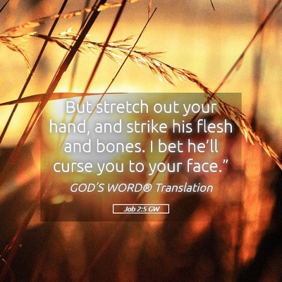 Picture 05 - Job 2:5 GW - But stretch out your hand, and strike his flesh - Bible Verse Picture