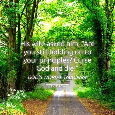 Picture 05 - Job 2:9 GW - His wife asked him, “Are you still holding on - Bible Verse Picture