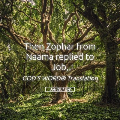 Picture 05 - Job 20:1 GW - Then Zophar from Naama replied to - Bible Verse Picture
