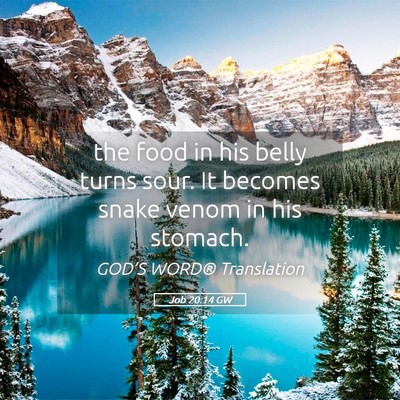Picture 05 - Job 20:14 GW - the food in his belly turns sour. It becomes - Bible Verse Picture