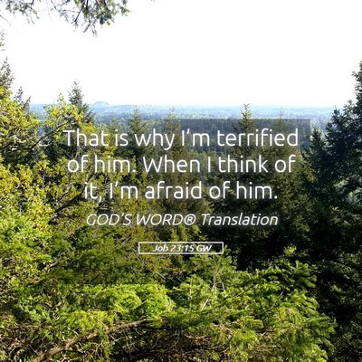 Picture 05 - Job 23:15 GW - That is why I’m terrified of him. When I think - Bible Verse Picture