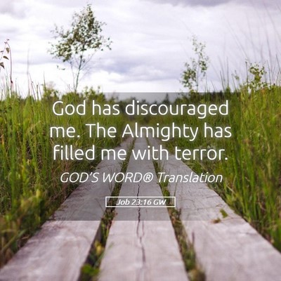 Picture 05 - Job 23:16 GW - God has discouraged me. The Almighty has filled - Bible Verse Picture
