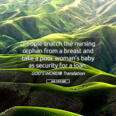 Picture 05 - Job 24:9 GW - “People snatch the nursing orphan from a breast - Bible Verse Picture