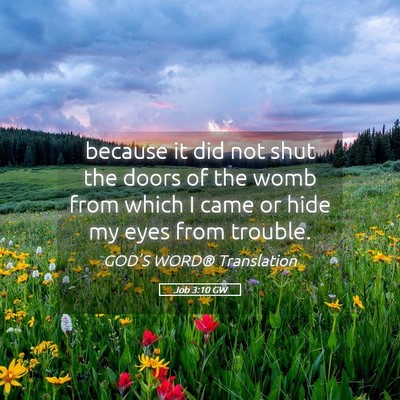 Picture 05 - Job 3:10 GW - because it did not shut the doors of the womb - Bible Verse Picture