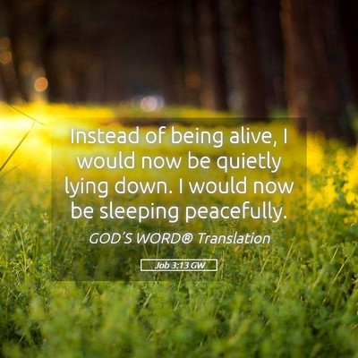 Picture 05 - Job 3:13 GW - Instead of being alive, I would now be quietly - Bible Verse Picture