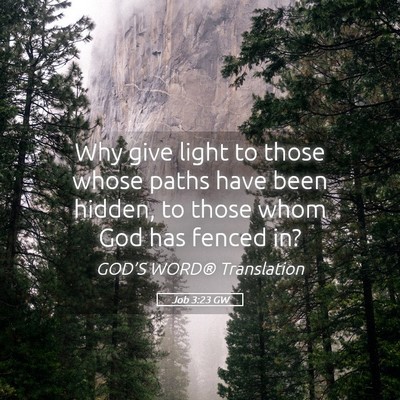 Picture 05 - Job 3:23 GW - Why give light to those whose paths have been - Bible Verse Picture