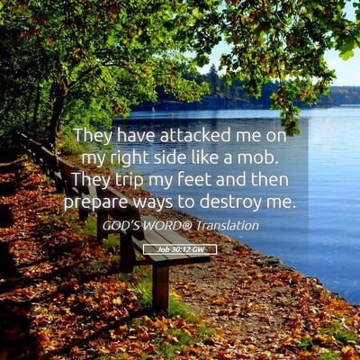 Picture 05 - Job 30:12 GW - They have attacked me on my right side like a - Bible Verse Picture